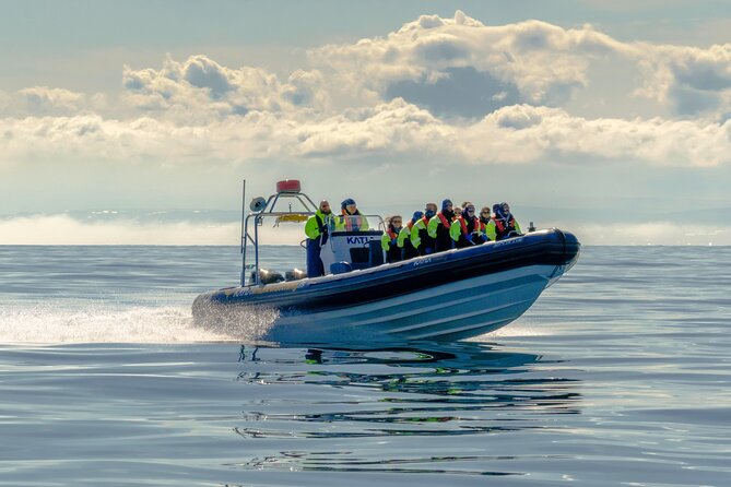 Puffin Watching Speedboat Express - The Speedboat That Brings You Close to Puffins and Islands