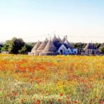 Puglia Full-Day Tour: Bari, Trulli of Alberobello, Castel del Monte and Sassi of Matera - Discovering Alberobello’s Trulli: A UNESCO Heritage Site