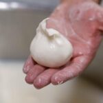 Puglia: Masseria Seppunisi Tour, Cheese, Burrata Tasting - Discover Masseria Seppunisi’s History and Setting