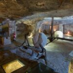 Puglia: Olive Oil Tasting Experience with Olive Grove Walk - Walking Through Ancient Olive Groves