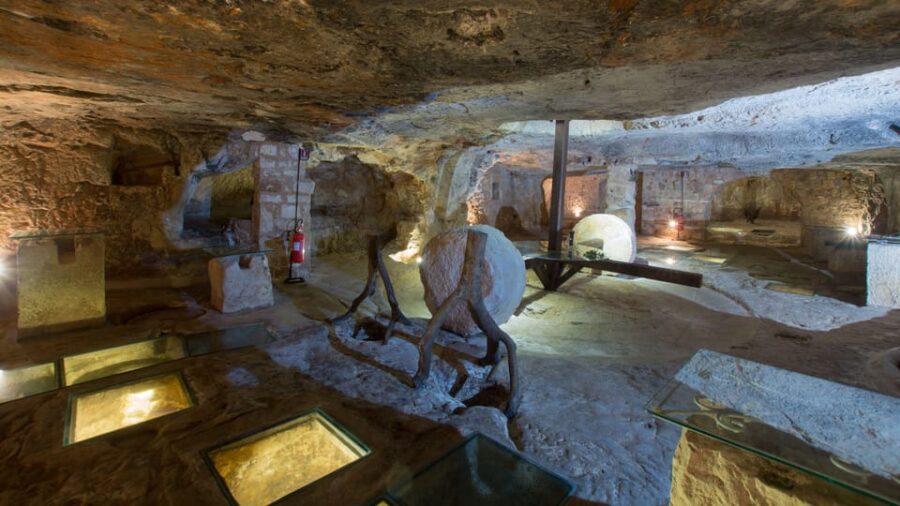 Puglia: Olive Oil Tasting Experience with Olive Grove Walk - Walking Through Ancient Olive Groves