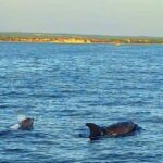 Pula: Boat Tour with Swimming and Snorkeling - Starting Point and Tour Duration in Pula