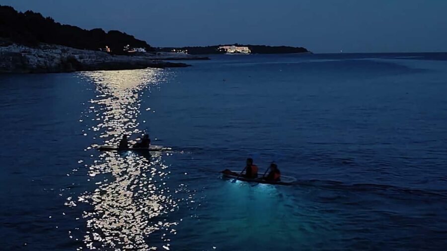 Pula: Night Tour in Transparent Kayak with Stargazing - Exploring Pula’s Night Coastline from a Transparent Kayak