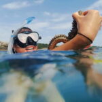 Pula: Sea Adventure  Boat, Kayak, Snorkeling & Cliff Jumps - From Pula Marina to the Muzil Peninsula by Speedboat