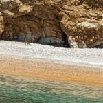 Punat-Public 3,5 h or 5 h trip to wild bays and Plavnik - Starting Point and How to Join the Trip