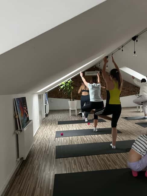 Puppy Yoga in Riga - How Puppy Yoga in Riga Combines Relaxation and Play