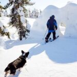Pyhä: Skiing Tour in Arctic Forest - The Scenic Stops: Soutaja Fell, Pyhäjärvi Lake, and Pyhä-Luosto National Park