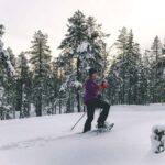 Pyhätunturi: Private Snowshoeing Tour With Local Guide - Convenient Meeting Point at Naava Visitor Center in Pelkosenniemi