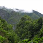 Queimadas Caldeirão Verde Walking tour with guide - Starting Point at Queimadas Forest Park in Santana