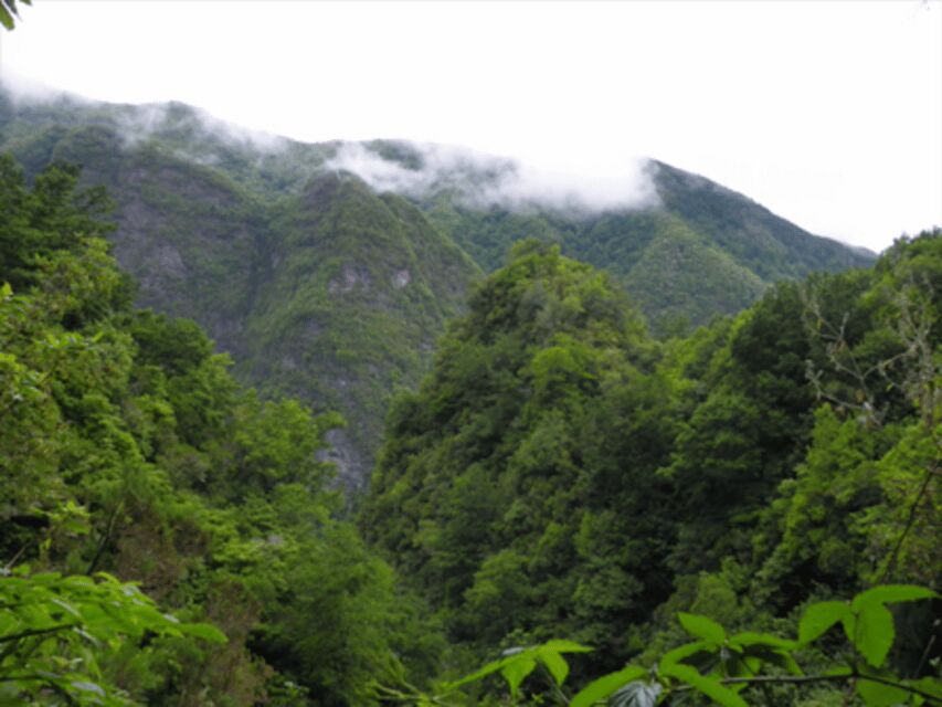Queimadas Caldeirão Verde Walking tour with guide - Starting Point at Queimadas Forest Park in Santana