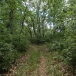 Querceti di Quasano: excursion in the Alta Murgia National Park - Journey into Alta Murgia’s Natural Beauty from Quasano