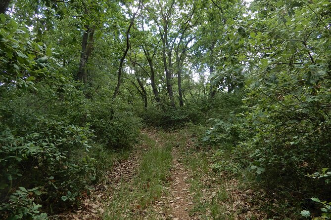 Querceti di Quasano: excursion in the Alta Murgia National Park - Journey into Alta Murgia’s Natural Beauty from Quasano
