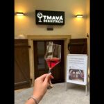 Quick Wine Tasting in Michalská - A Wide Range of Slovak Wine Varieties