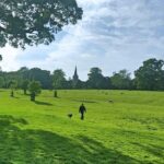 Quintessential Cotswolds Half-Day tour from Bath (for 2-8 guests) - Value and Cost Effectiveness