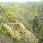 Rabaçal: 25 Fontes & Risco Levada Hiking Transfer - Round-Trip Transfer from Funchal and Nearby Locations