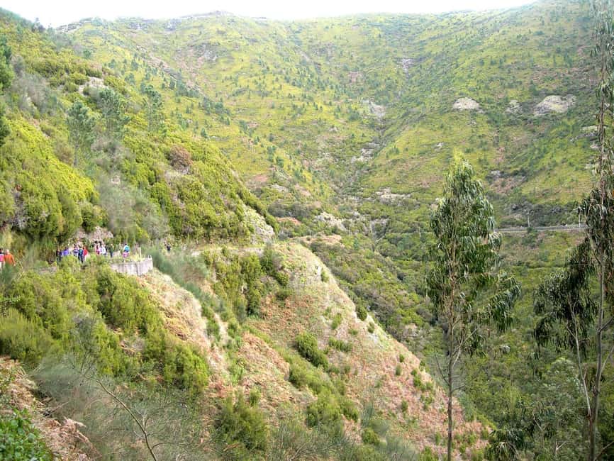 Rabaçal: 25 Fontes & Risco Levada Hiking Transfer - Round-Trip Transfer from Funchal and Nearby Locations