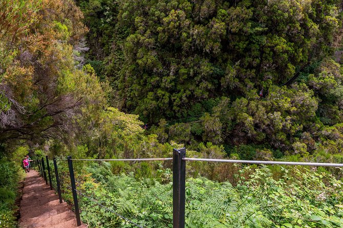 Rabaçal - Levada das 25 Fontes - The Role of the Guides: Yuliya and Suzanne
