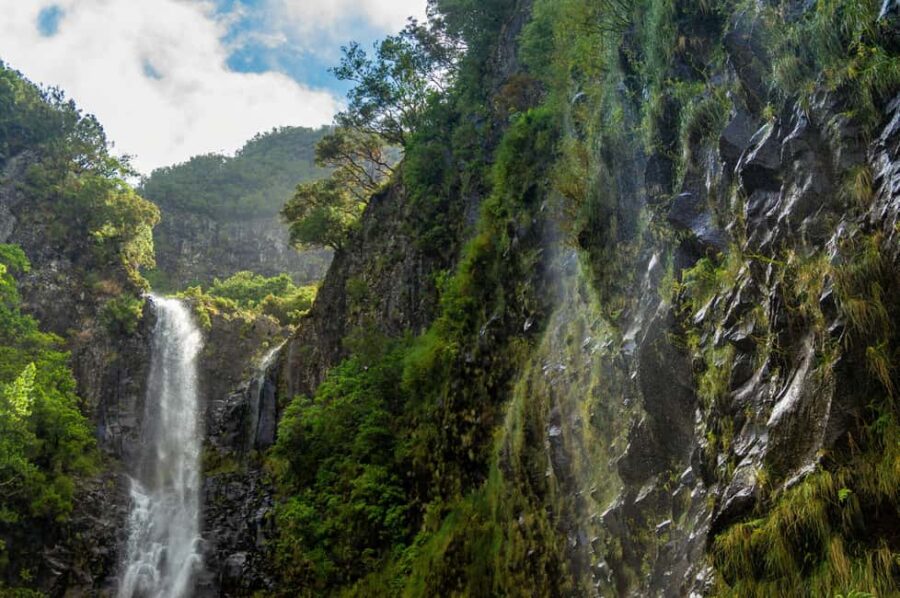 Rabacal Nature Walk: Lakes & Fountains - Guided Walk Through Madeira Natural Park