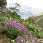 Rabaçal / Risco / 25 Fountains Full-day walk - The Walk from Rabaçal to Risco Waterfall