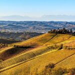 Radda in Chianti: Wine Tasting Tour with lunch at the Winery - Discover the Charm of Chianti with a Wine and Lunch Tour for $97.44