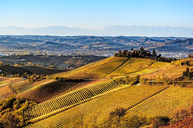 Radda in Chianti: Wine Tasting Tour with lunch at the Winery - Discover the Charm of Chianti with a Wine and Lunch Tour for $97.44