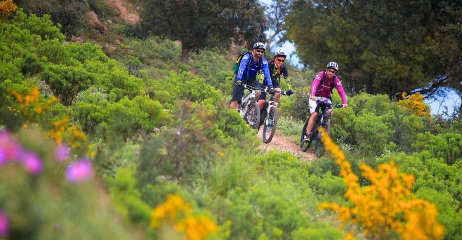 Ramatuelle: Tracks & Tasting Winery Tour by Mountain E-Bike - The Experience of Cycling in the Gulf of Saint-Tropez