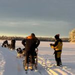 Råneå: Self-drive Dog sled trip through picturesque Lapland - Meeting Point and Location in Råneå