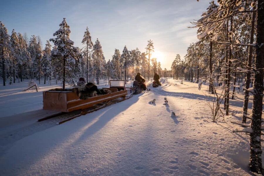 Ranua Wildlife Park & Lupland Activity Park from Rovaniemi - Snowmobile-Pulled Sleigh Ride Through Lapland Wilderness
