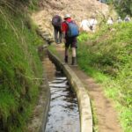 Referta & Castelejo: Half-Day Morning Walk - Starting the Tour from Madeira’s North Coast