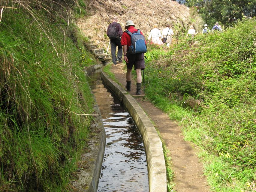 Referta & Castelejo: Half-Day Morning Walk - Starting the Tour from Madeira’s North Coast