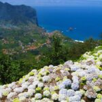 Referta Castelejo Levada Walk from Funchal - Scenic Highlights Along the Levada do Castelejo
