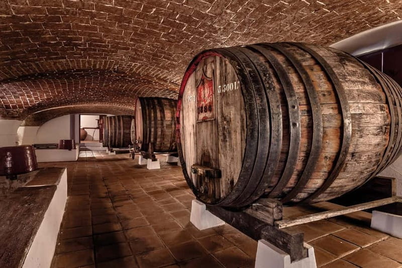 Reguengos de Monsaraz: José de Sousa Winery Tour and Tasting - The Location and Setting of the José de Sousa Winery