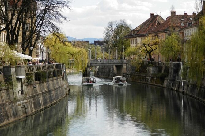 Regular Panoramic Cruise - The Experience on the Modern, Covered Boats