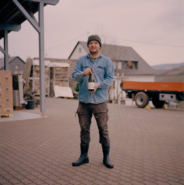 Reil, Mosel: Guided organic wine tasting and cellar tour - Guided Tour of the Organic Vineyard