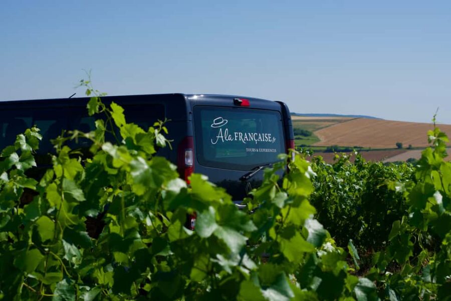 Reims: Moët & Chandon and Family-Run Winery Day Tour & Lunch - Exclusive Visits to Champagne Houses: Moët & Chandon