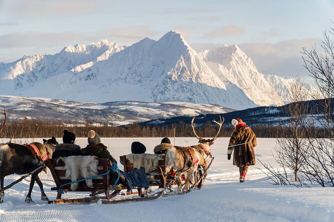 Reindeer Sledding and Feeding with Sami Culture in Tromso. - Reindeer Sledding: A Weather-Dependent Adventure