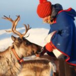 Reindeer Sledding Experience and Sami Culture Tour from Tromso - Reindeer Feeding: Personal Encounters with Arctic Animals