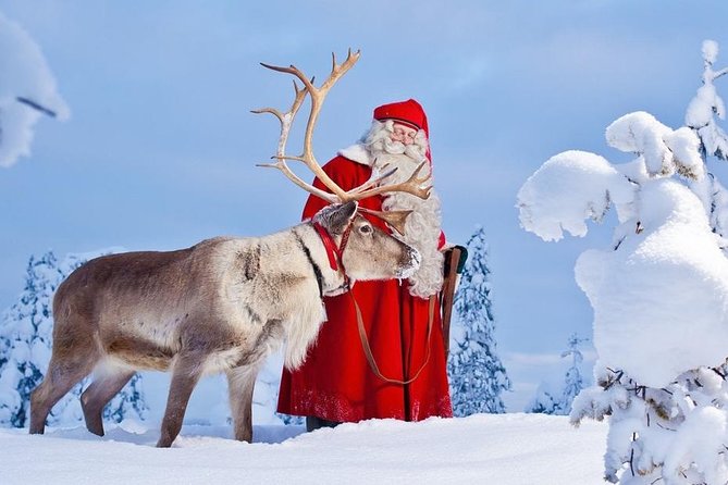 Reindeer Sleigh Ride and Farm Experience from Rovaniemi - Snowy Forest Sleigh Ride: A Scenic Journey Pulled by Reindeer