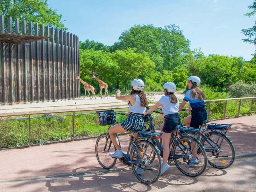 Rent an electric bike for the day in Lyon (+4h) - Convenience of Electric Bike Rentals from Mobilboard Lyon
