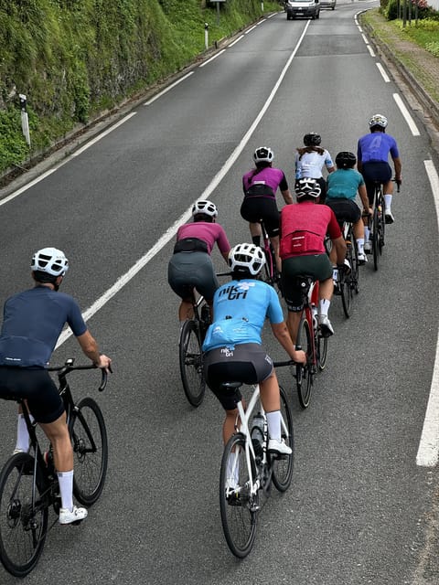 Rent your bike with us and we will help you to discover Gipuzkoa. - Electric and Road Bicycles: Versatile Options for All Terrains