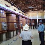 Requena Half-Day Private Vineyards & Premium Wine Tastings Tour - Guided Tour at Bodega Chozas Carrascal: Organic Excellence and Premium Wines