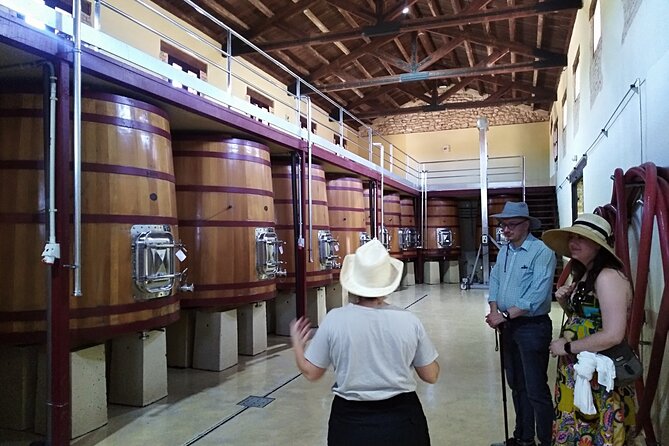 Requena Half-Day Private Vineyards & Premium Wine Tastings Tour - Guided Tour at Bodega Chozas Carrascal: Organic Excellence and Premium Wines