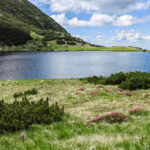 Retezat National Park: Full day hike from Cluj Napoca - Departing from Cluj Napoca to Retezat Mountains: Convenient Pickups