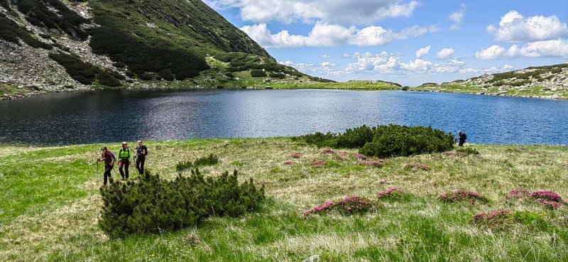 Retezat National Park: Full day hike from Cluj Napoca - Departing from Cluj Napoca to Retezat Mountains: Convenient Pickups
