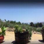 Rethymno: Private Winery & Olive Oil Tasting Tour with Lunch - The Authentic Experience at Kanakis Olive Oil Mill