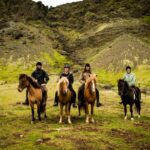 Reykjadalur: Horseback Riding Tour for Families & Beginners - Meet Your Guide and Learn About Icelandic Horses