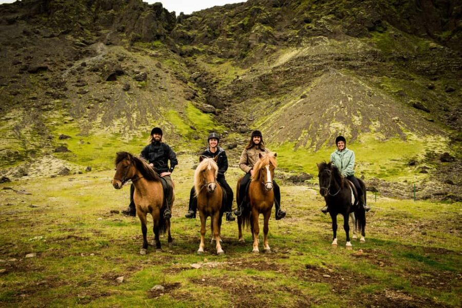 Reykjadalur: Horseback Riding Tour for Families & Beginners - Meet Your Guide and Learn About Icelandic Horses