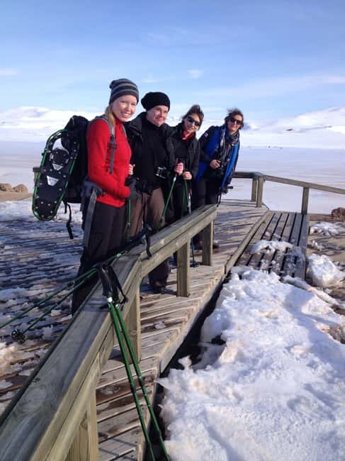Reykjahlíð: Krafla Volcano Snowshoe Hike with Guide - The Snowshoe Hike: Exploring the Volcanic Landscape