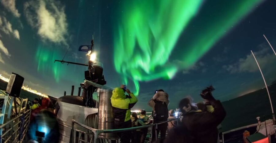 Reykjavik: 2-Hour Northern Lights by Boat with Backup Plan - The Backup Plan at the Whales of Iceland Exhibition