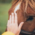 Reykjavik: Full-Day Golden Circle & Geothermal Greenhouse - The Golden Circle Highlights: Geysir, Gullfoss, and Thingvellir